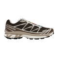 Salomon Xt-6