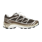 Salomon Xt-6
